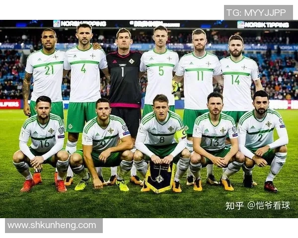 北爱尔兰对阵瑞士比赛分析与推荐策略分享